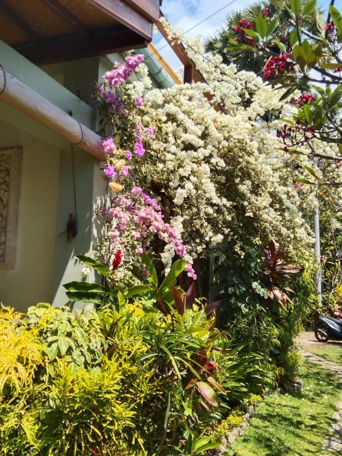Villa Cantik Sambirenteng 그레텍 외부 사진